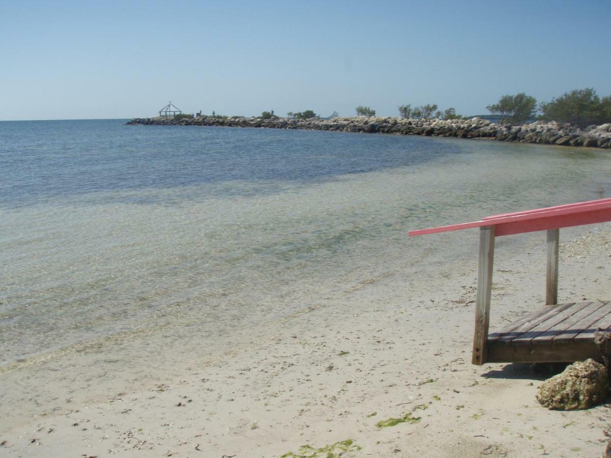 Licensed Mgr - Modern Oceanfront Condo! Beautiful Ocean Views! Beach Resort! 2 King Beds! Key Largo Exterior foto